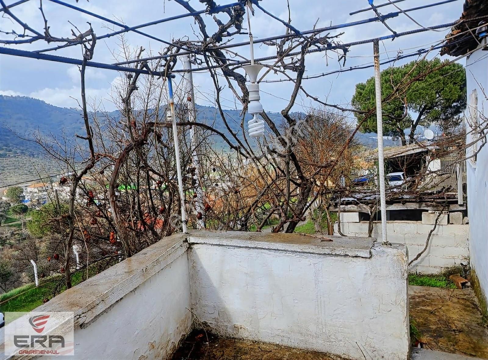Era'dan Satılık Ev Ve Zeytinlik Koçarlı Cincinde - Görsel 17