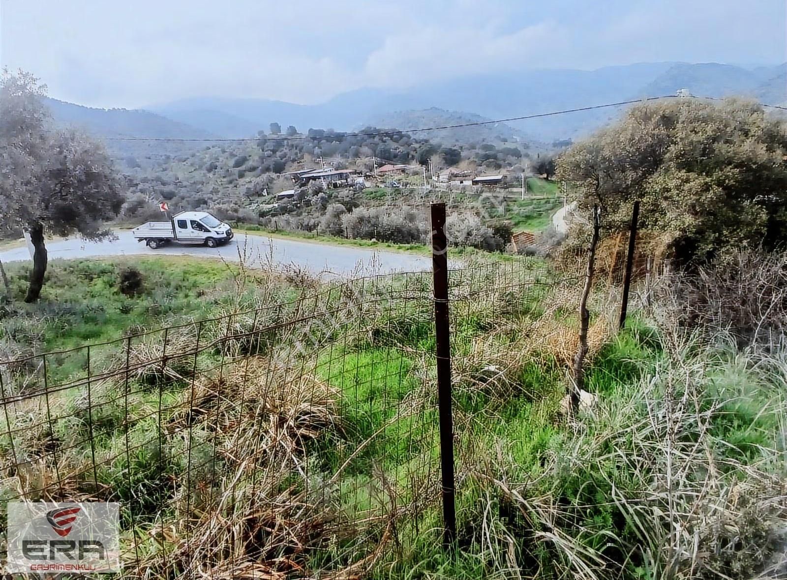 Era'dan Satılık Ev Ve Zeytinlik Koçarlı Cincinde - Görsel 15
