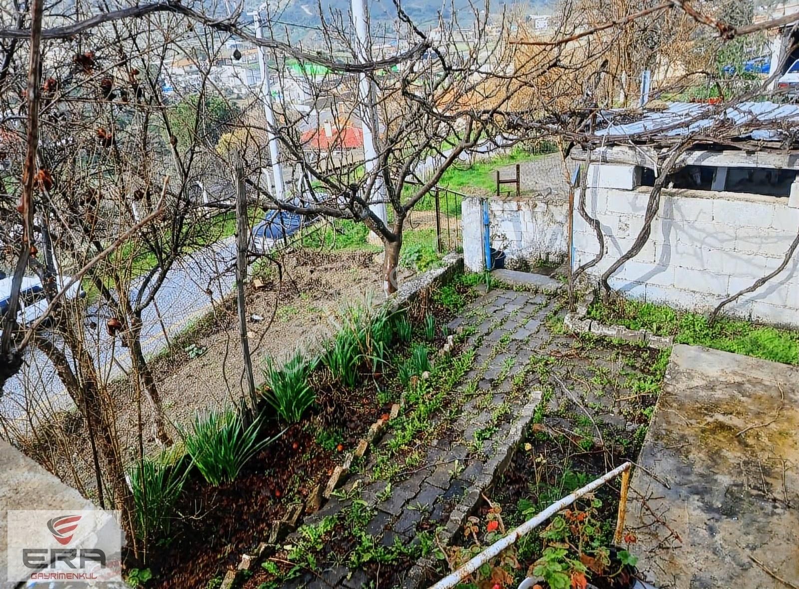 Era'dan Satılık Ev Ve Zeytinlik Koçarlı Cincinde - Görsel 2