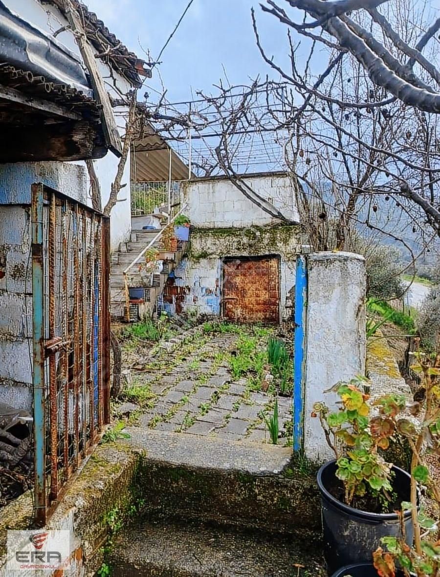 Era'dan Satılık Ev Ve Zeytinlik Koçarlı Cincinde - Görsel 10