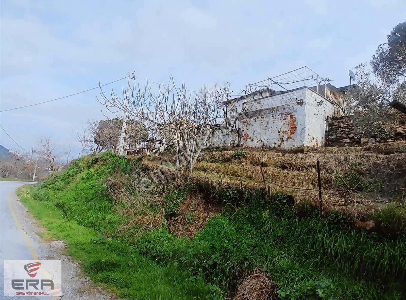 Era'dan Satılık Ev Ve Zeytinlik Koçarlı Cincinde - Görsel 16