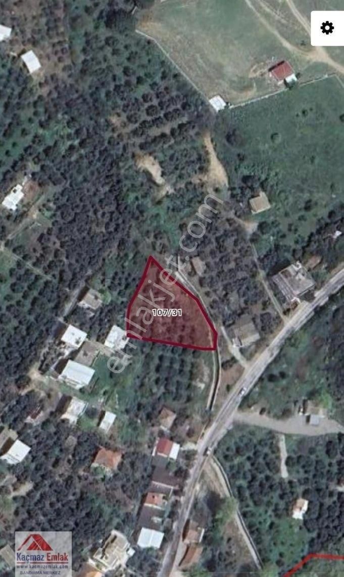 Balıkesir Erdek Aşağıyapıcı Mahallesi 1.252m2 Satılık Zeytinlik - Görsel 5