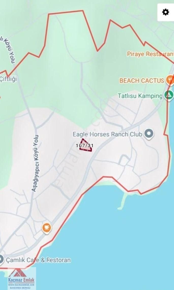 Balıkesir Erdek Aşağıyapıcı Mahallesi 1.252m2 Satılık Zeytinlik - Görsel 3
