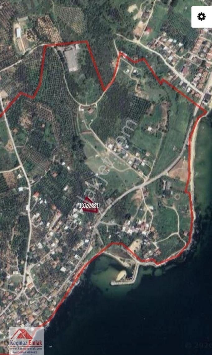 Balıkesir Erdek Aşağıyapıcı Mahallesi 1.252m2 Satılık Zeytinlik - Görsel 2