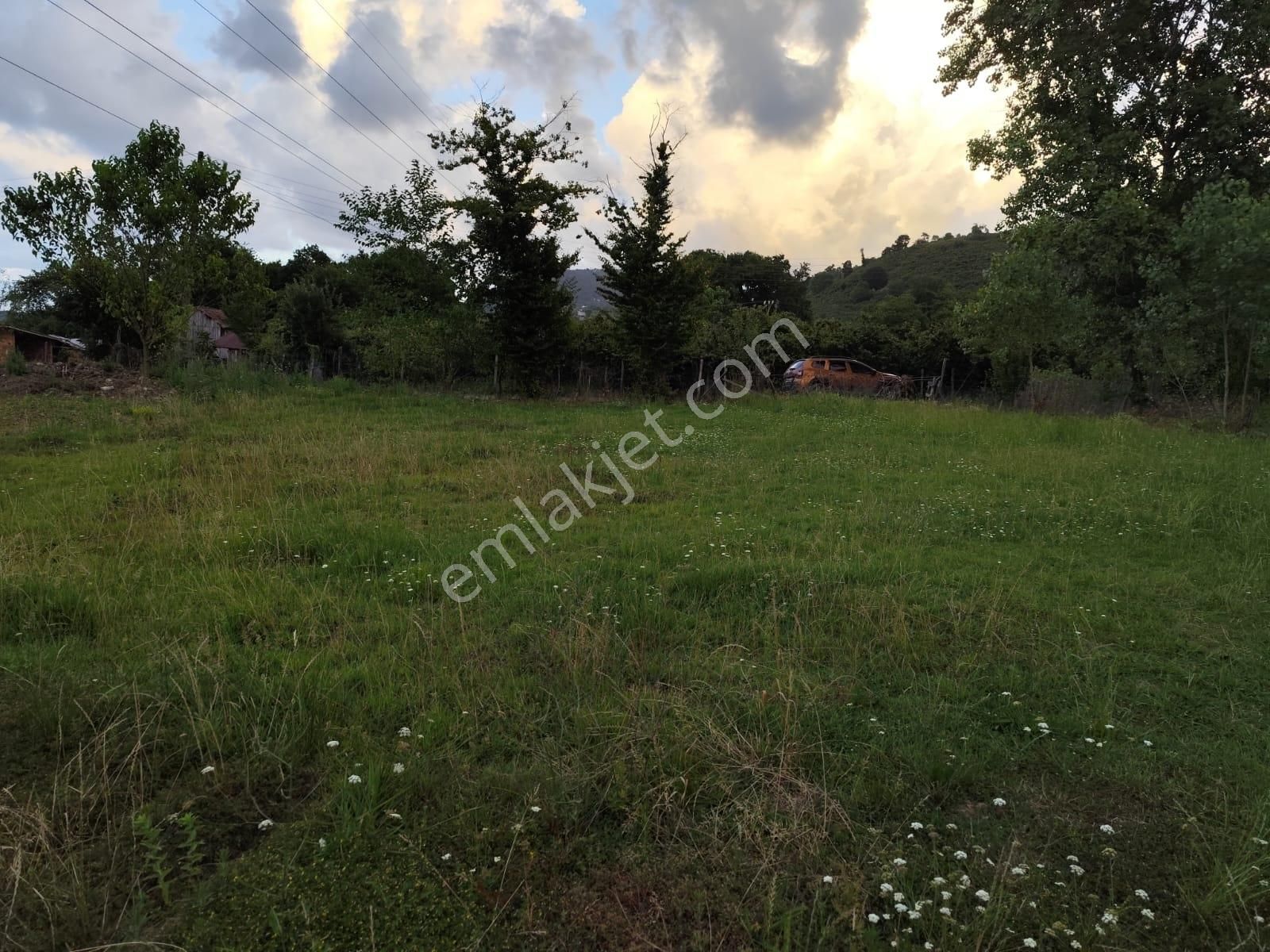 Killik'de Organize Sanayi Yakını Müstakil Bahçe - Görsel 16
