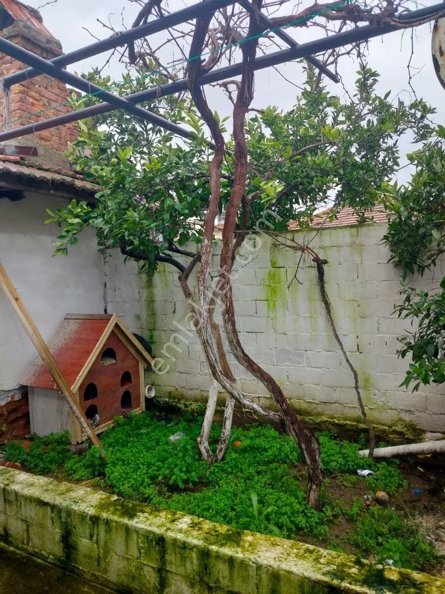 Aydın İncirliova Kurtuluş Mah. Satılık Müstakil Ev - Görsel 4