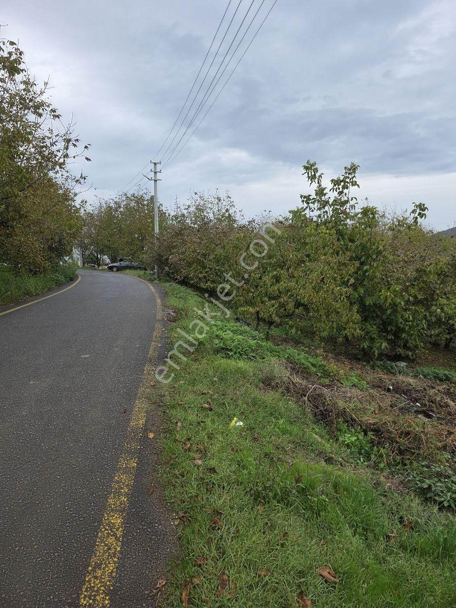 Sakarya Serdivan Çubuklu Köyünde Muhteşem Arazi - Görsel 7