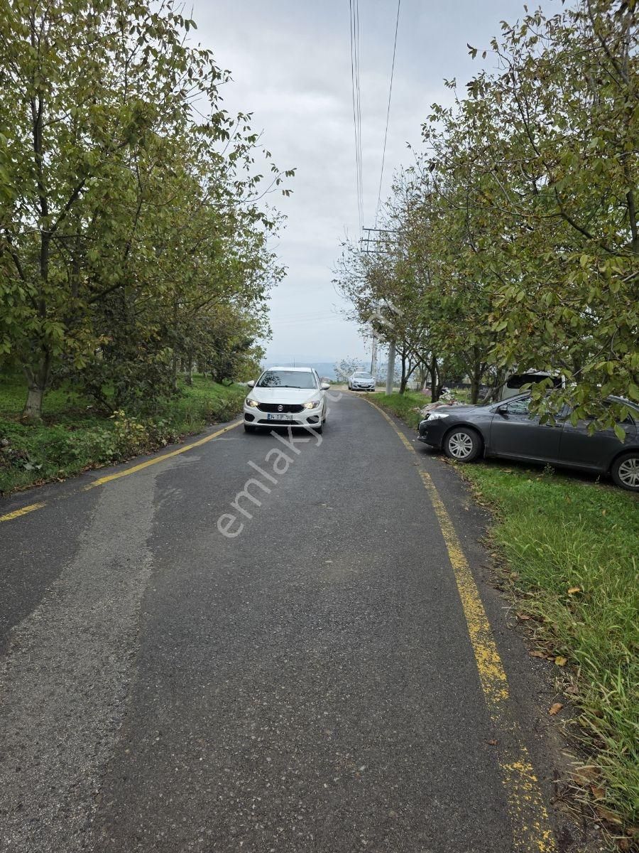 Sakarya Serdivan Çubuklu Köyünde Muhteşem Arazi - Görsel 3