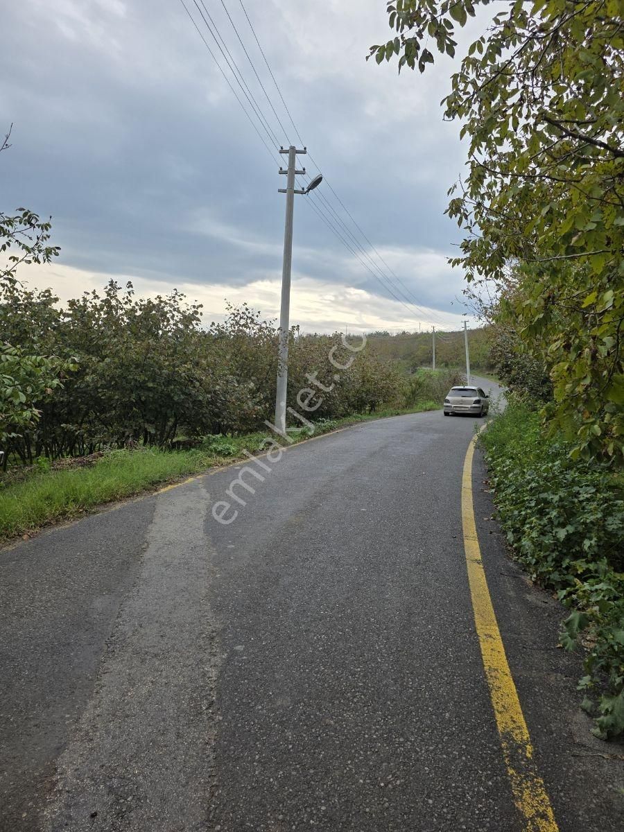 Sakarya Serdivan Çubuklu Köyünde Muhteşem Arazi - Görsel 8