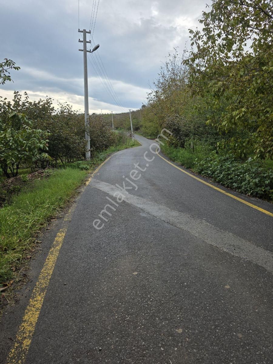 Sakarya Serdivan Çubuklu Köyünde Muhteşem Arazi - Görsel 5
