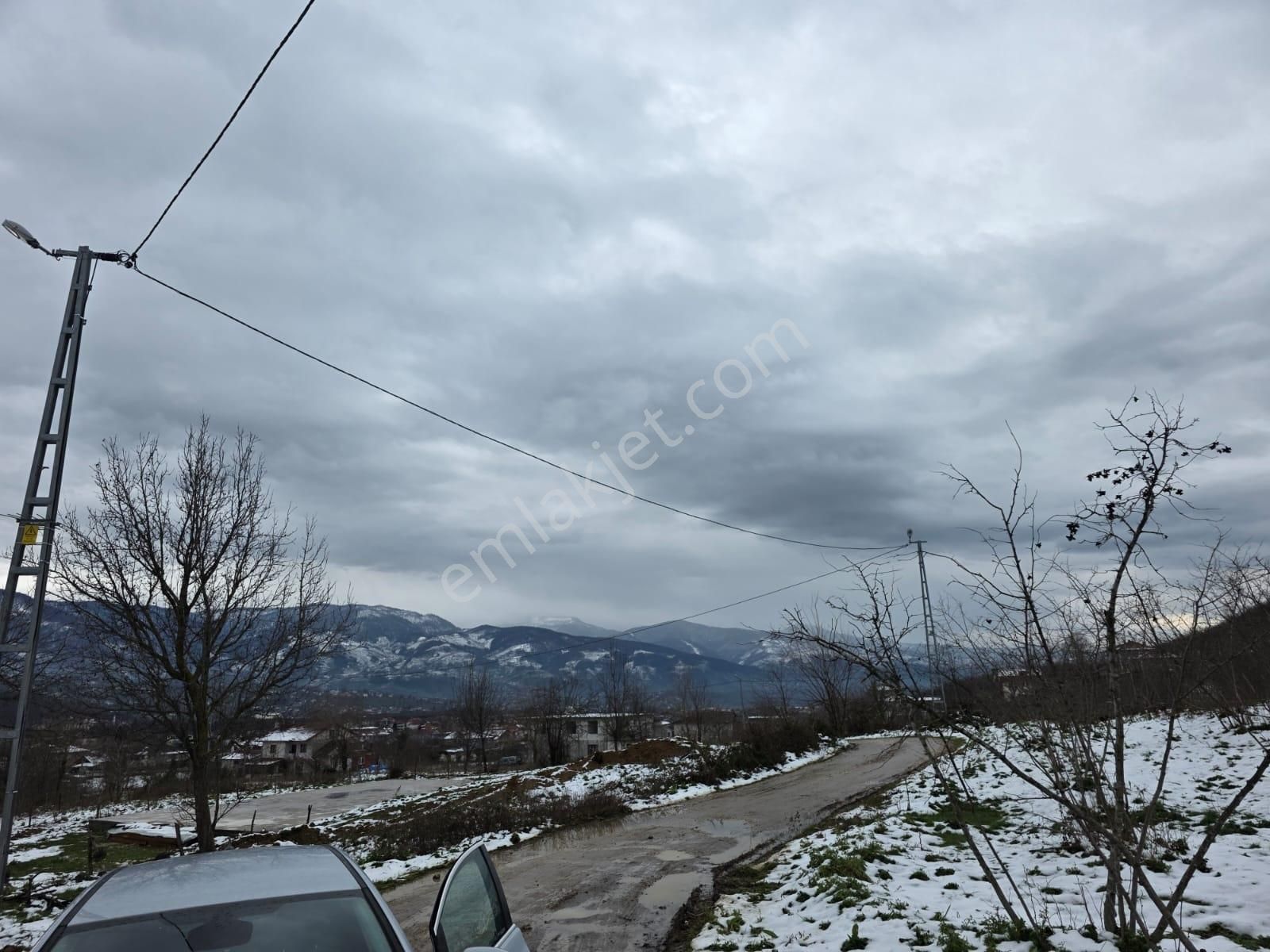 Sakarya Akyazı Kuzulukda 10 Bin M2 Muhteşem Arazi - Görsel 3