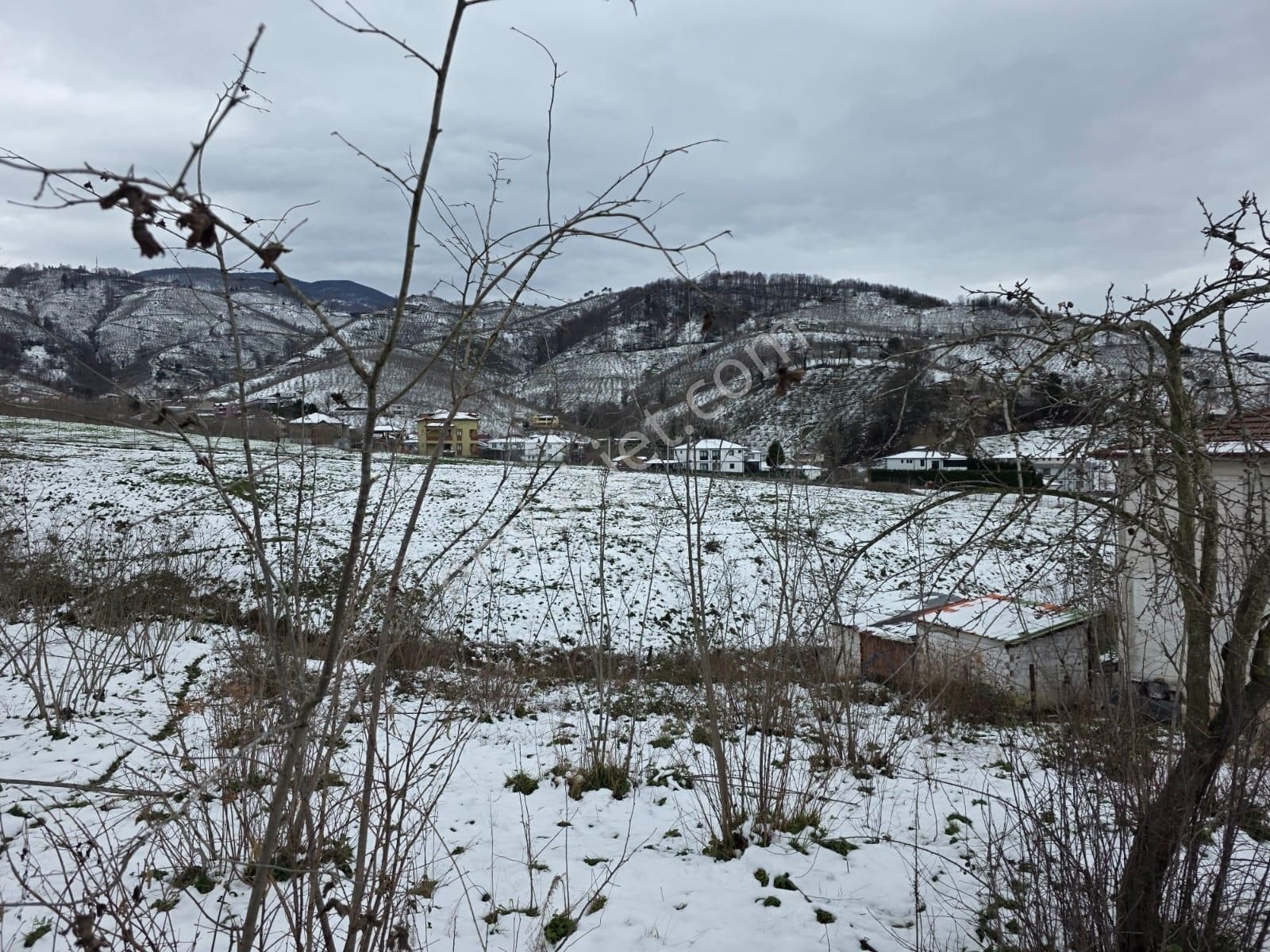 Sakarya Akyazı Kuzulukda 10 Bin M2 Muhteşem Arazi - Görsel 6