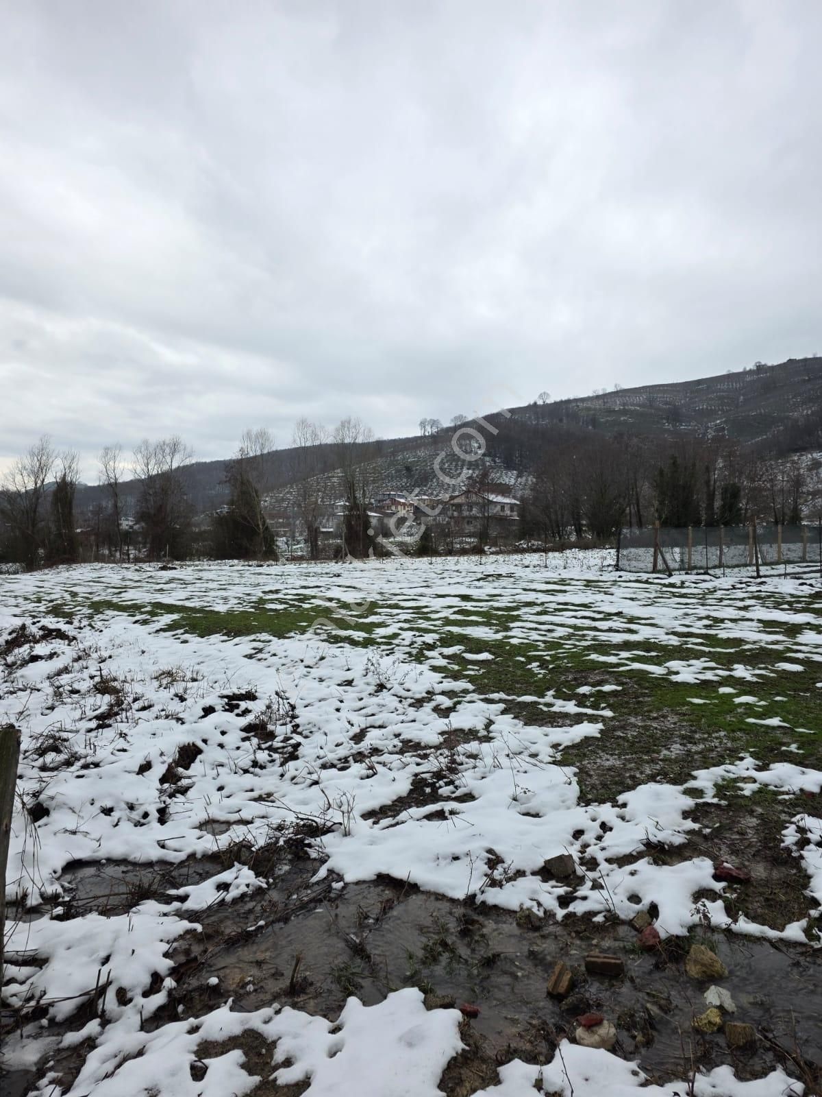 Sakarya Akyazı Kuzulukda 10 Bin M2 Muhteşem Arazi - Görsel 17
