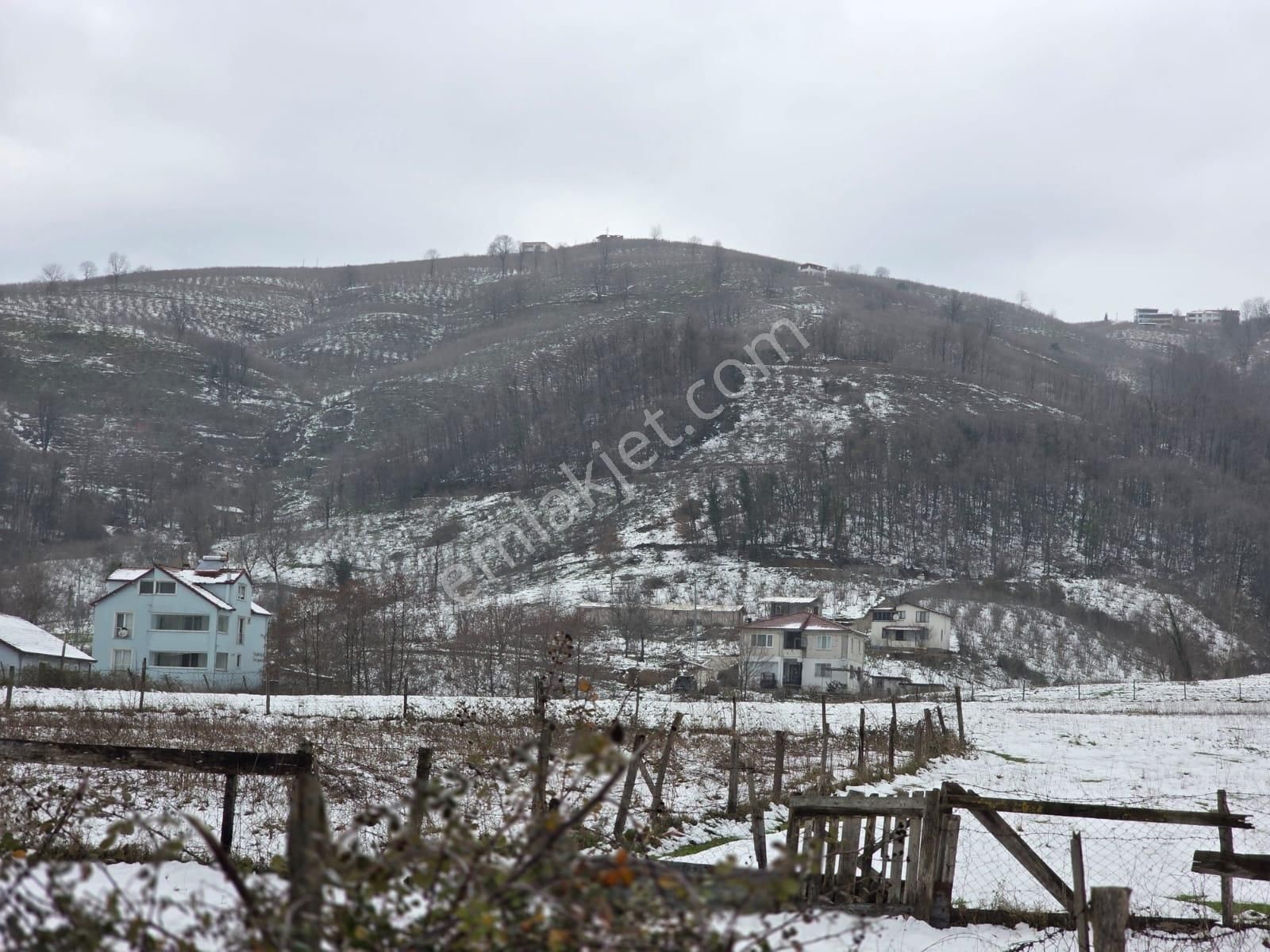 Sakarya Akyazı Kuzulukda 10 Bin M2 Muhteşem Arazi
