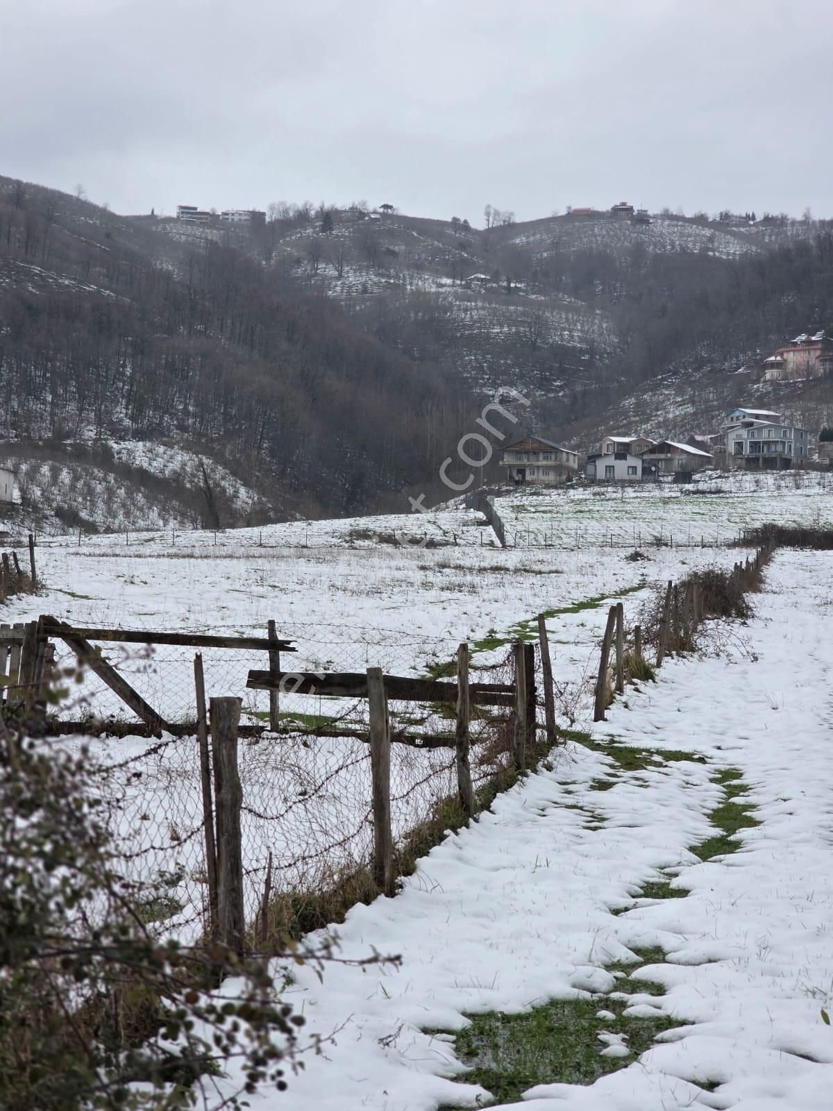 Sakarya Akyazı Kuzulukda 10 Bin M2 Muhteşem Arazi - Görsel 2