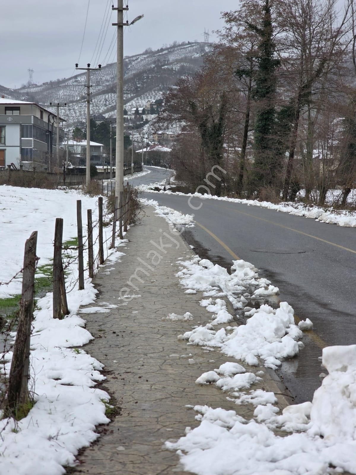 Sakarya Akyazı Kuzulukda 10 Bin M2 Muhteşem Arazi - Görsel 13