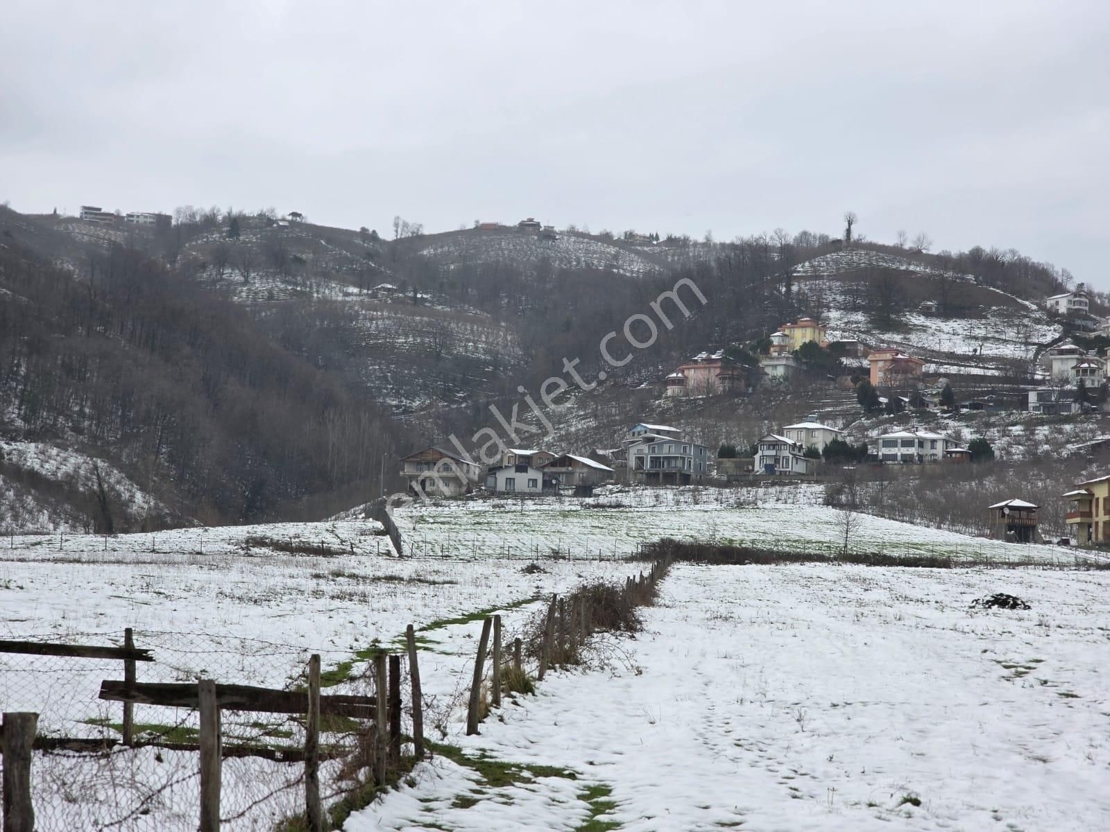 Sakarya Akyazı Kuzulukda 10 Bin M2 Muhteşem Arazi - Görsel 16