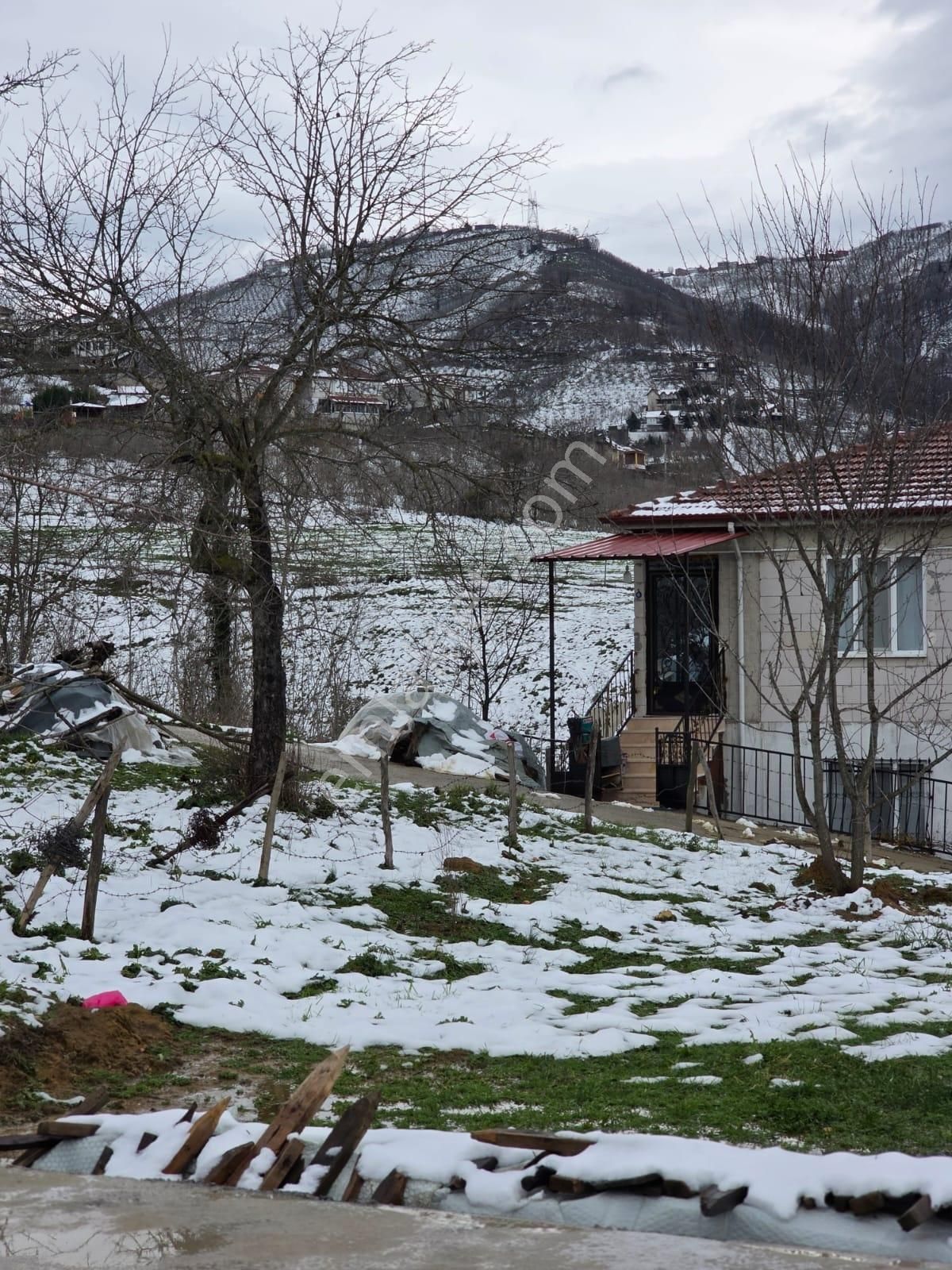 Sakarya Akyazı Kuzulukda 10 Bin M2 Muhteşem Arazi - Görsel 12