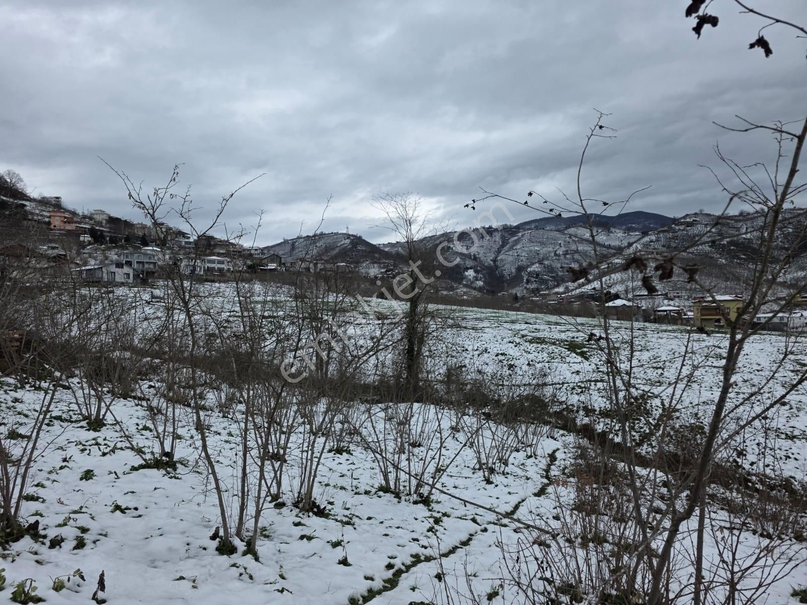 Sakarya Akyazı Kuzulukda 10 Bin M2 Muhteşem Arazi - Görsel 11