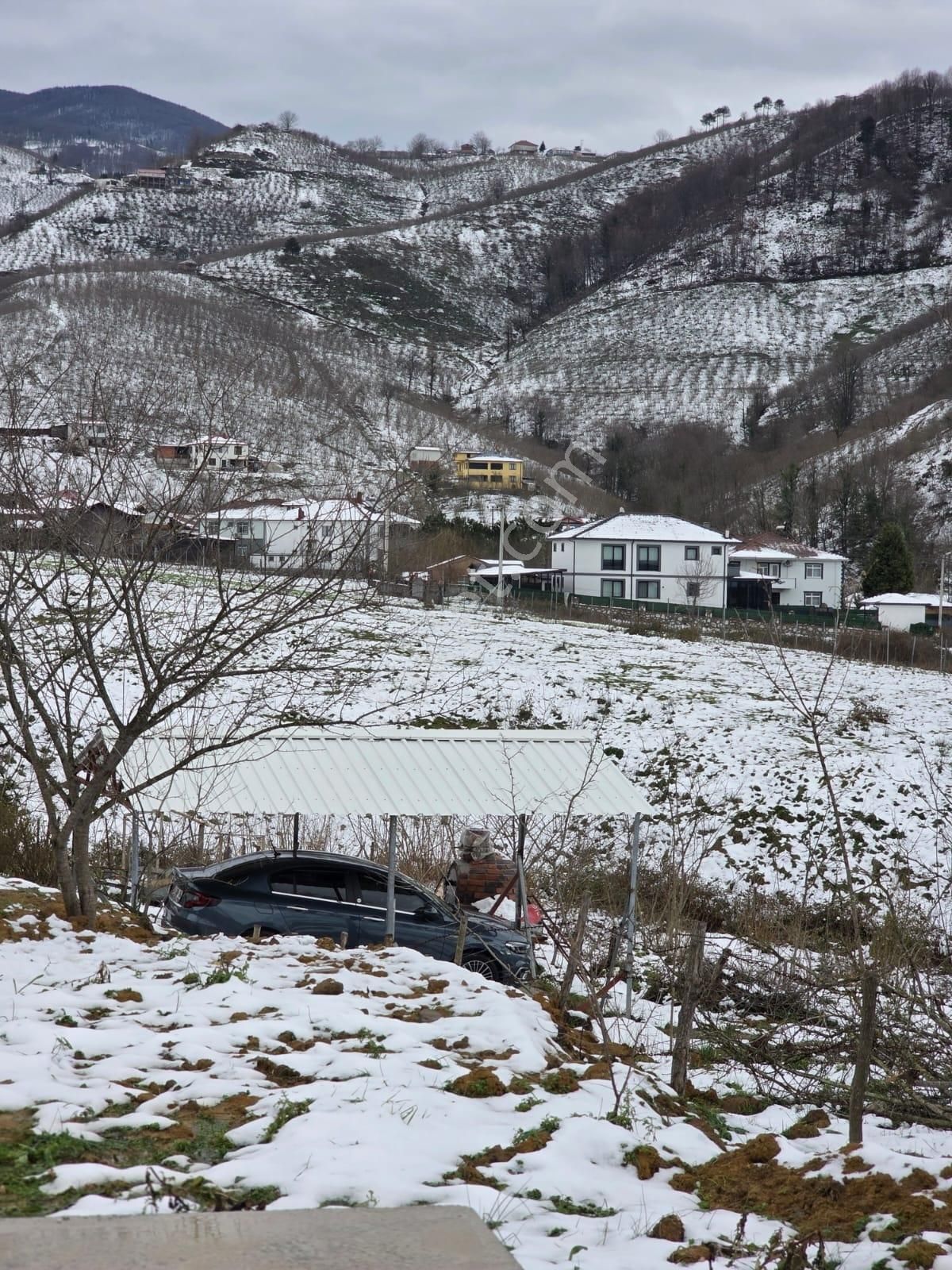 Sakarya Akyazı Kuzulukda 10 Bin M2 Muhteşem Arazi - Görsel 19
