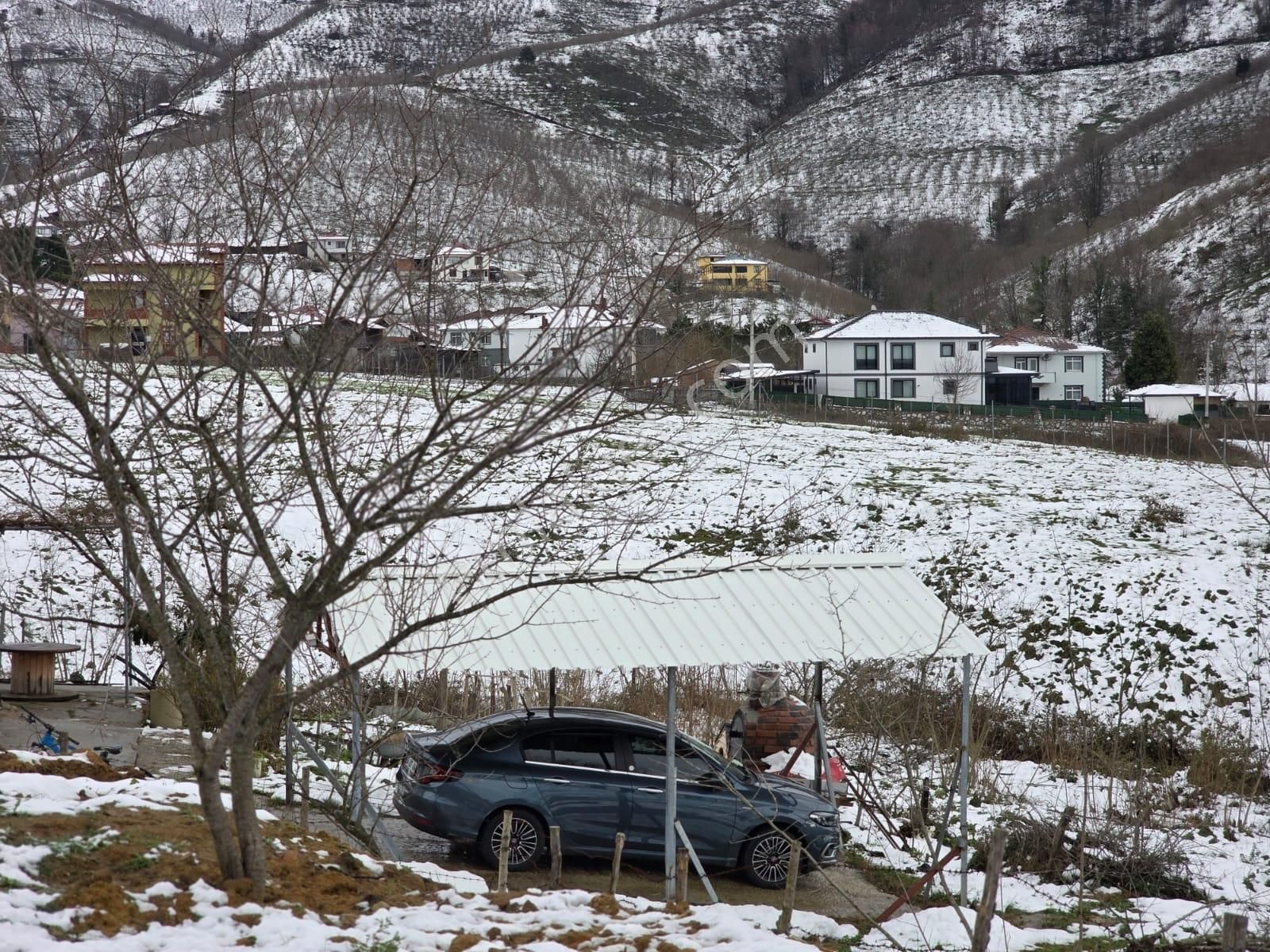 Sakarya Akyazı Kuzulukda 10 Bin M2 Muhteşem Arazi - Görsel 8