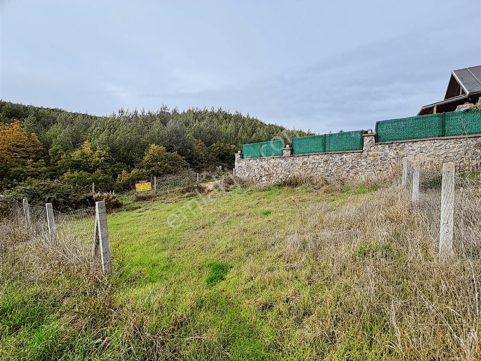 Tapulu Arsa - Görsel 8