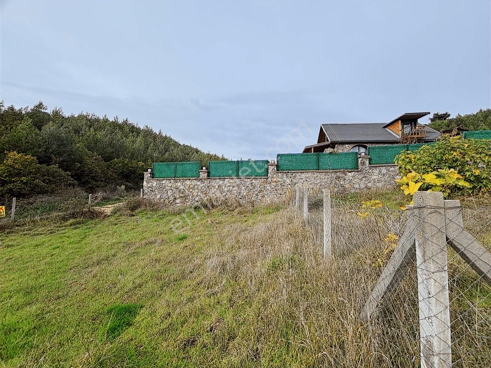 Tapulu Arsa - Görsel 6