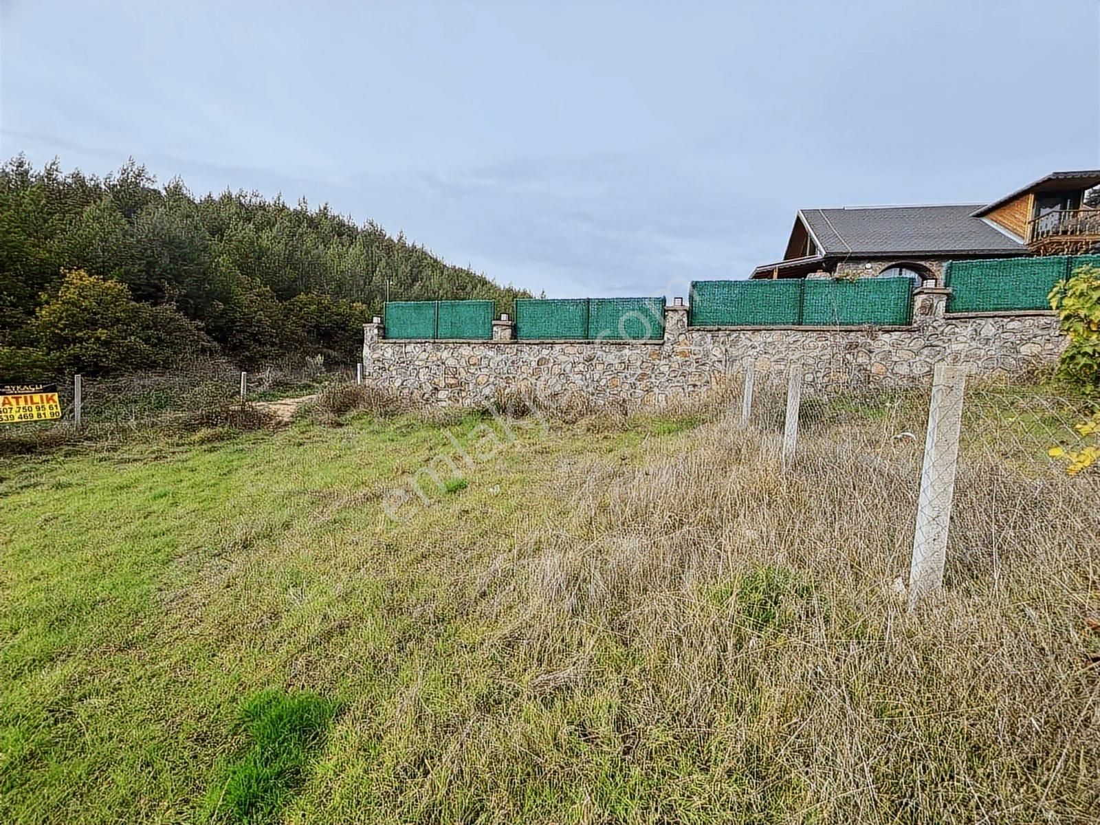 Tapulu Arsa - Görsel 2