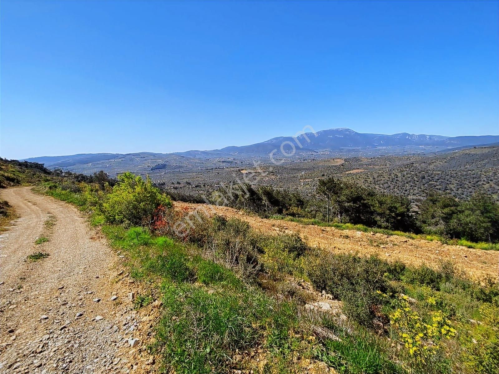 Manzaralı Satılık Arsa - Görsel 6