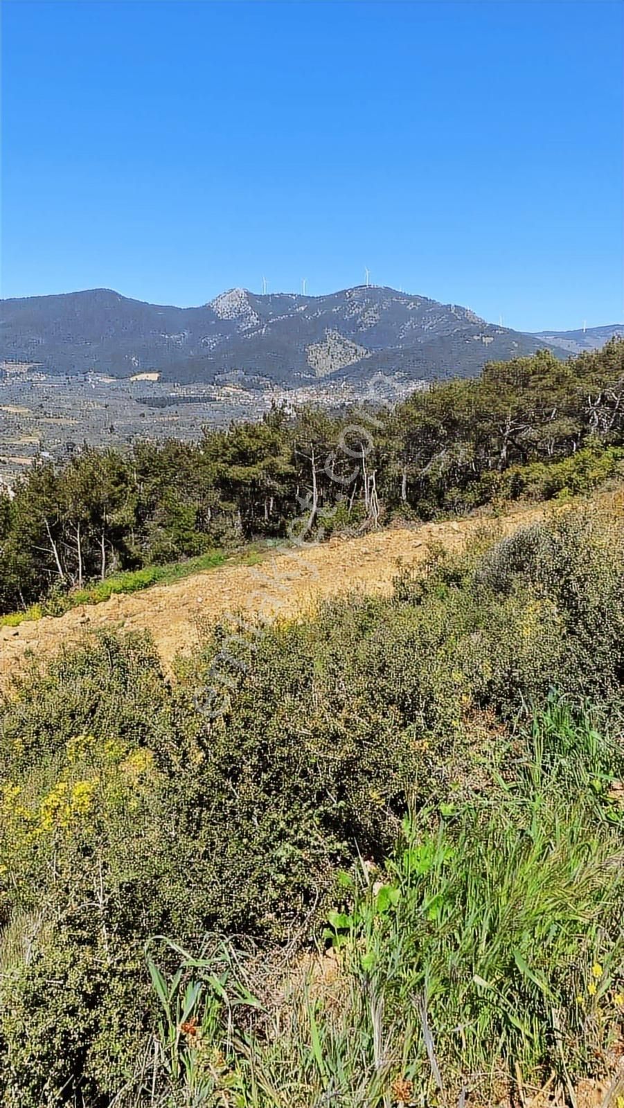 Manzaralı Satılık Arsa