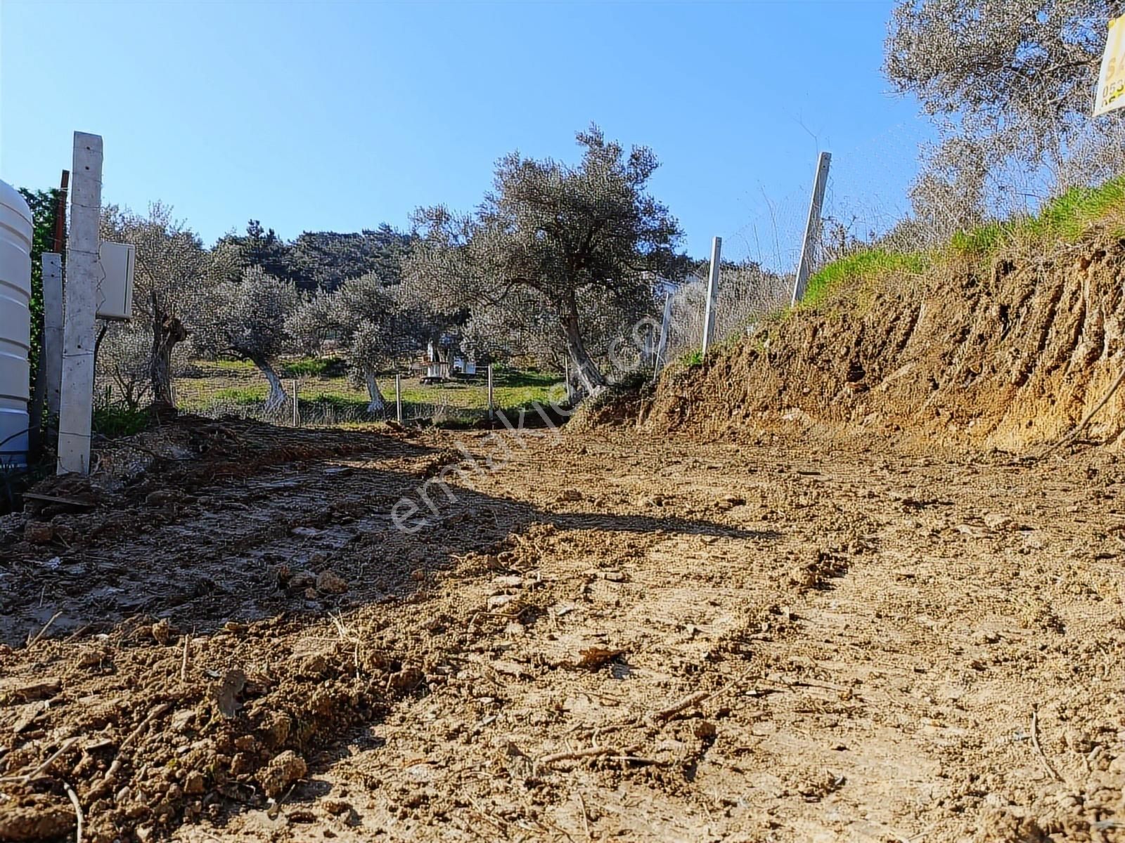 Torbalı Bozköyde Tapudan Satışlı Elektrik Sulu Arsa - Görsel 4
