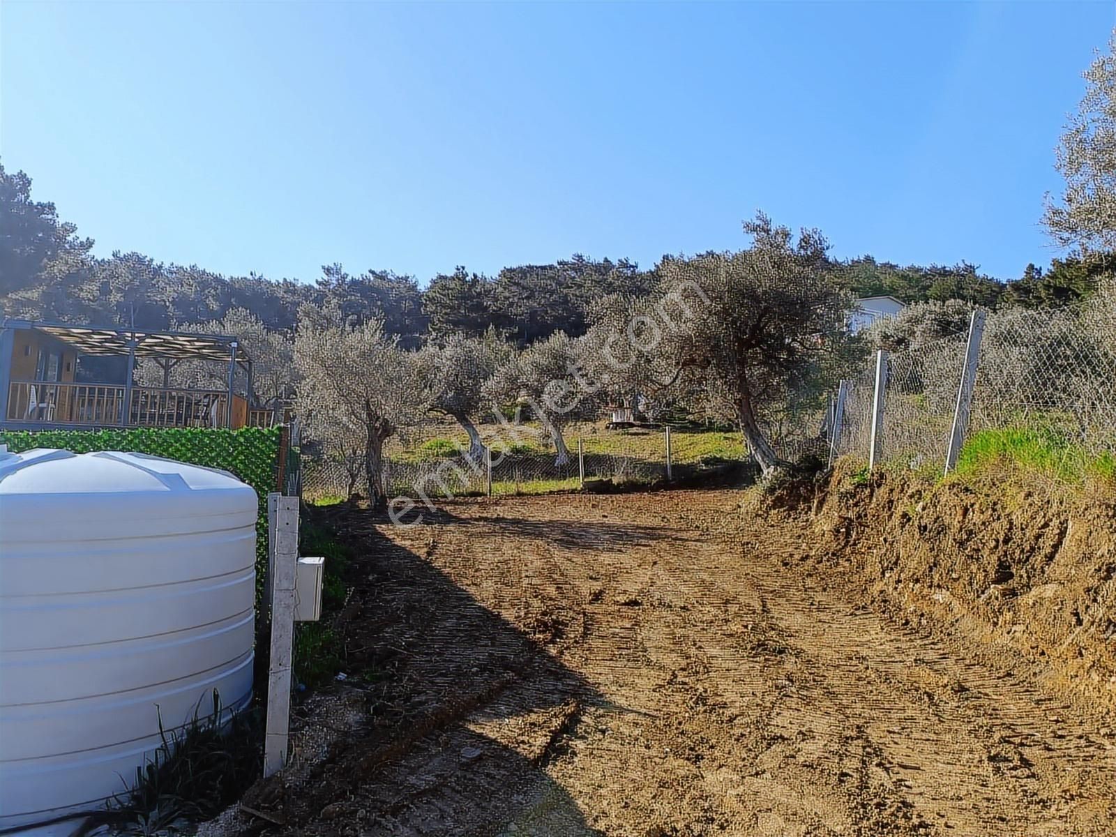 Torbalı Bozköyde Tapudan Satışlı Elektrik Sulu Arsa - Görsel 3