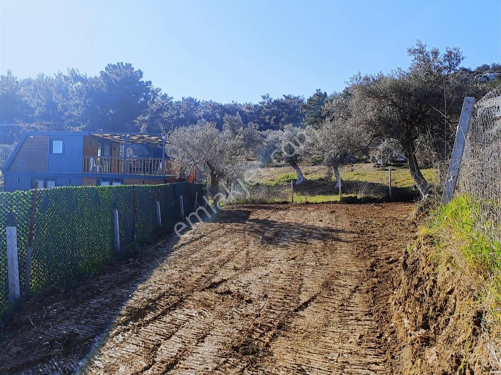Torbalı Bozköyde Tapudan Satışlı Elektrik Sulu Arsa - Görsel 16