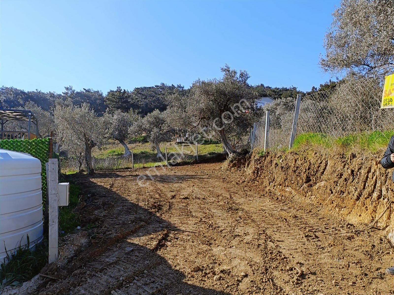 Torbalı Bozköyde Tapudan Satışlı Elektrik Sulu Arsa - Görsel 13