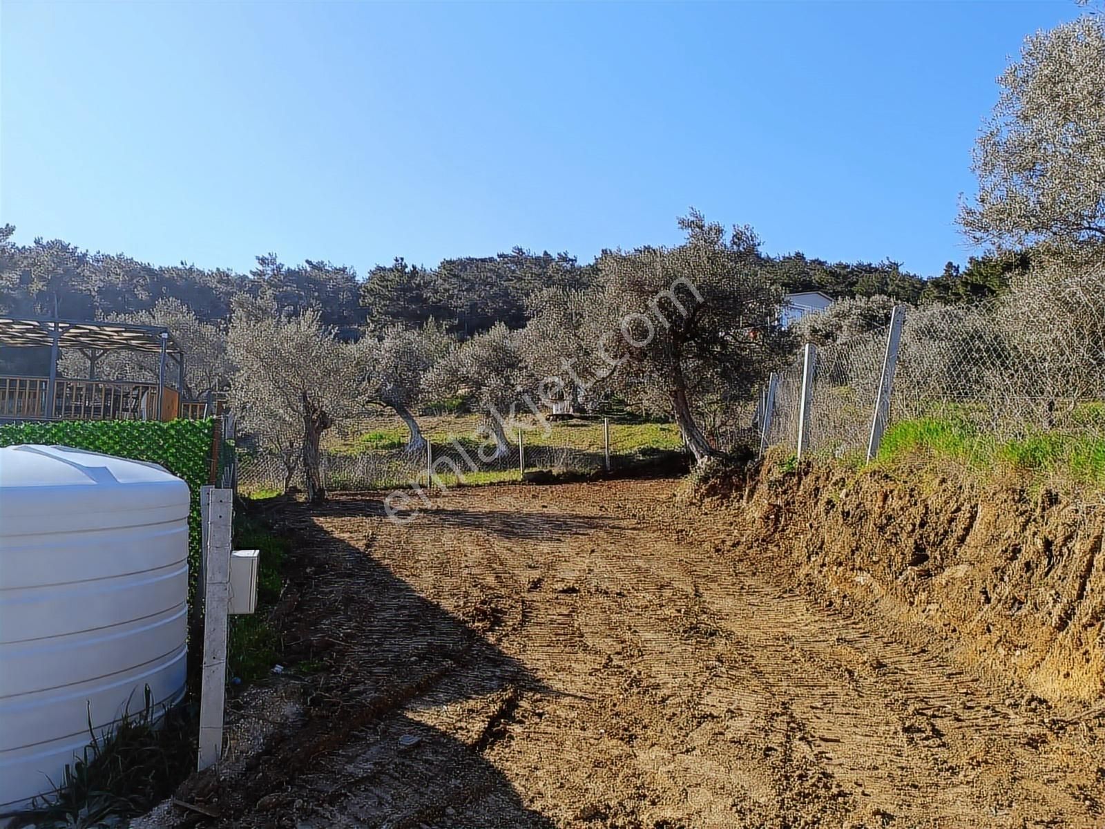 Torbalı Bozköyde Tapudan Satışlı Elektrik Sulu Arsa - Görsel 2