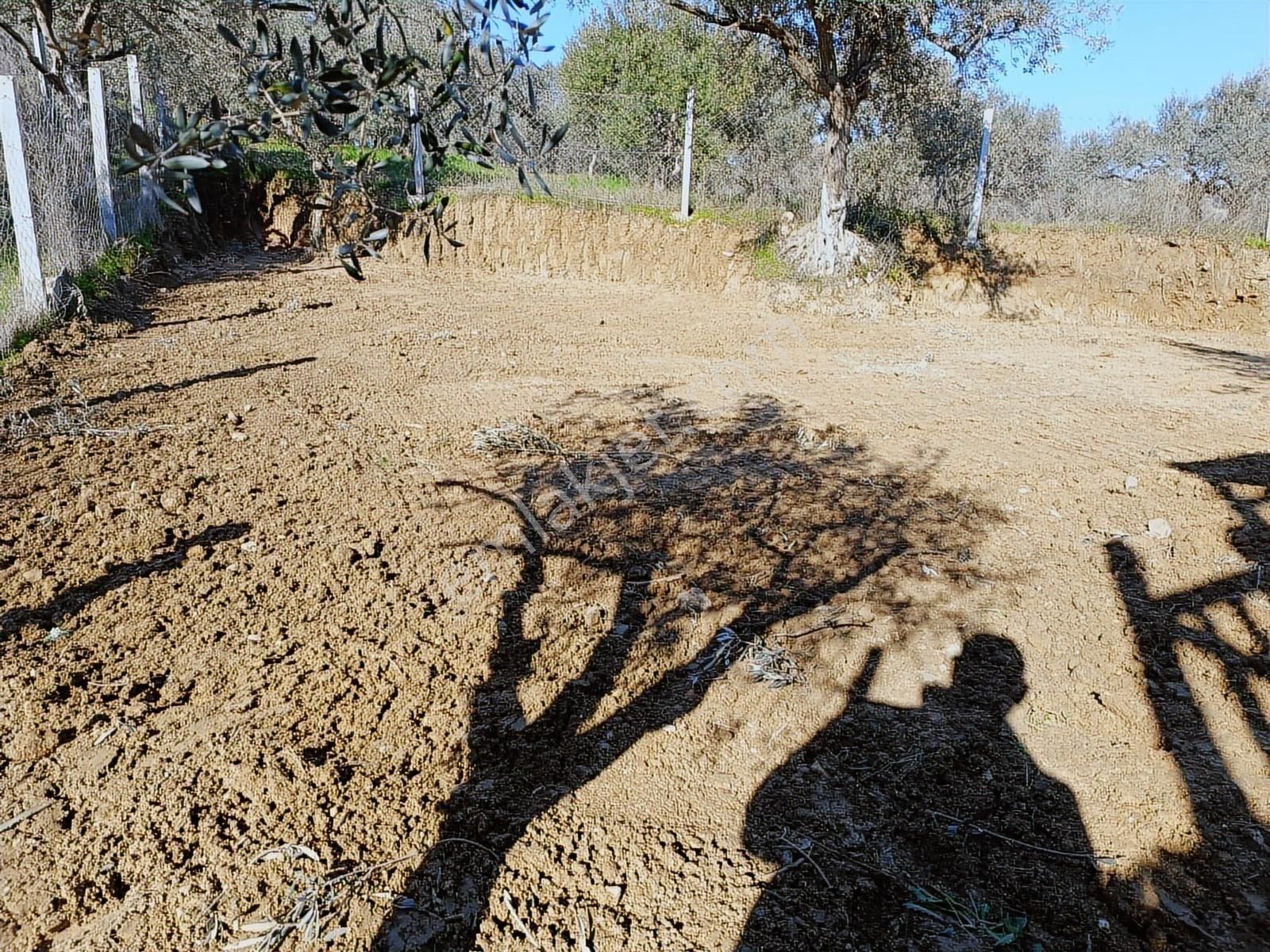 Torbalı Bozköyde Tapudan Satışlı Elektrik Sulu Arsa - Görsel 24