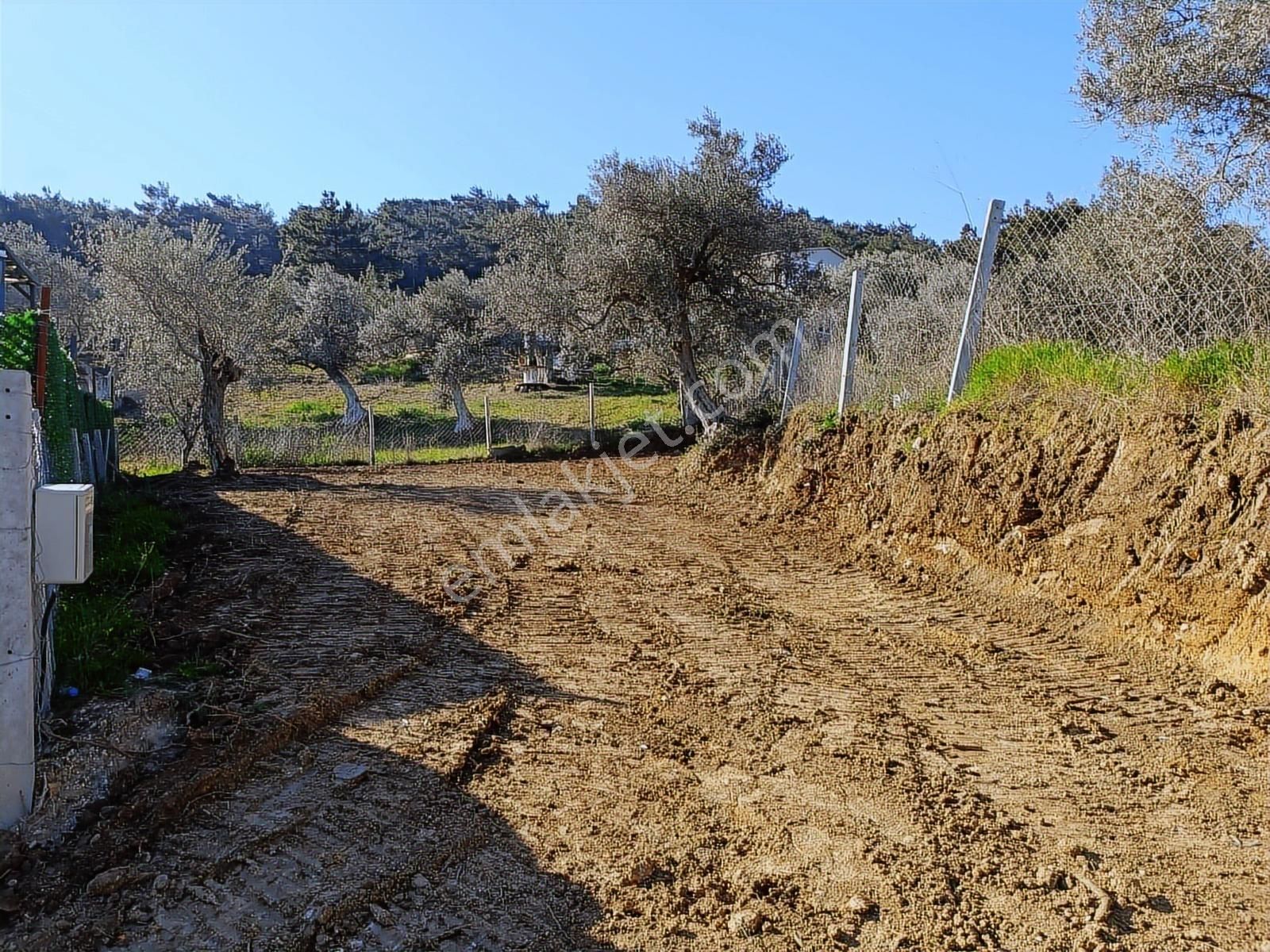 Torbalı Bozköyde Tapudan Satışlı Elektrik Sulu Arsa - Görsel 11
