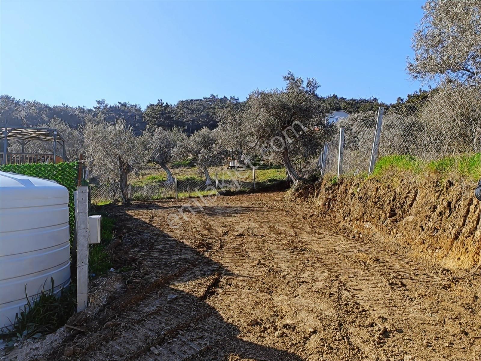 Torbalı Bozköyde Tapudan Satışlı Elektrik Sulu Arsa