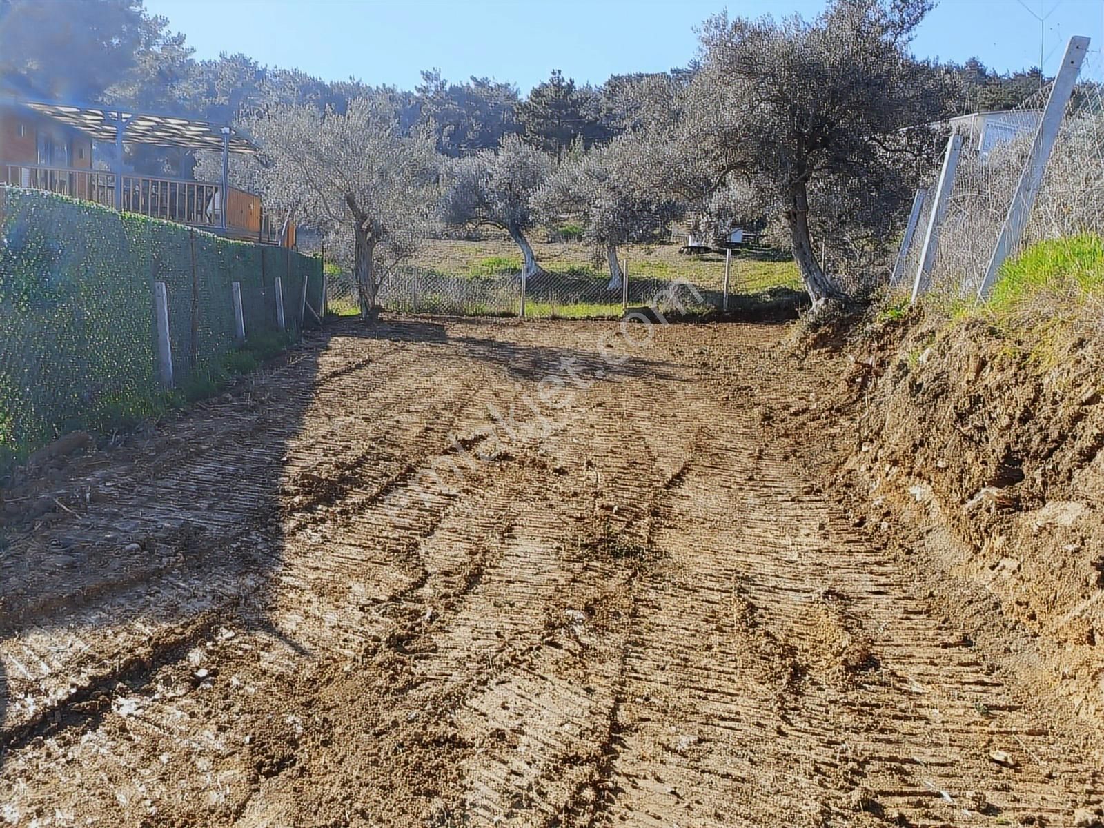Torbalı Bozköyde Tapudan Satışlı Elektrik Sulu Arsa - Görsel 21