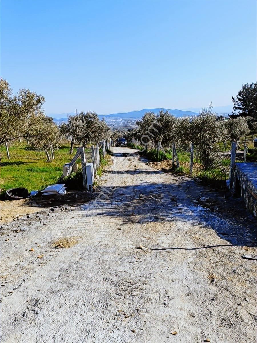 Torbalı Bozköyde Tapudan Satışlı Elektrik Sulu Arsa - Görsel 7