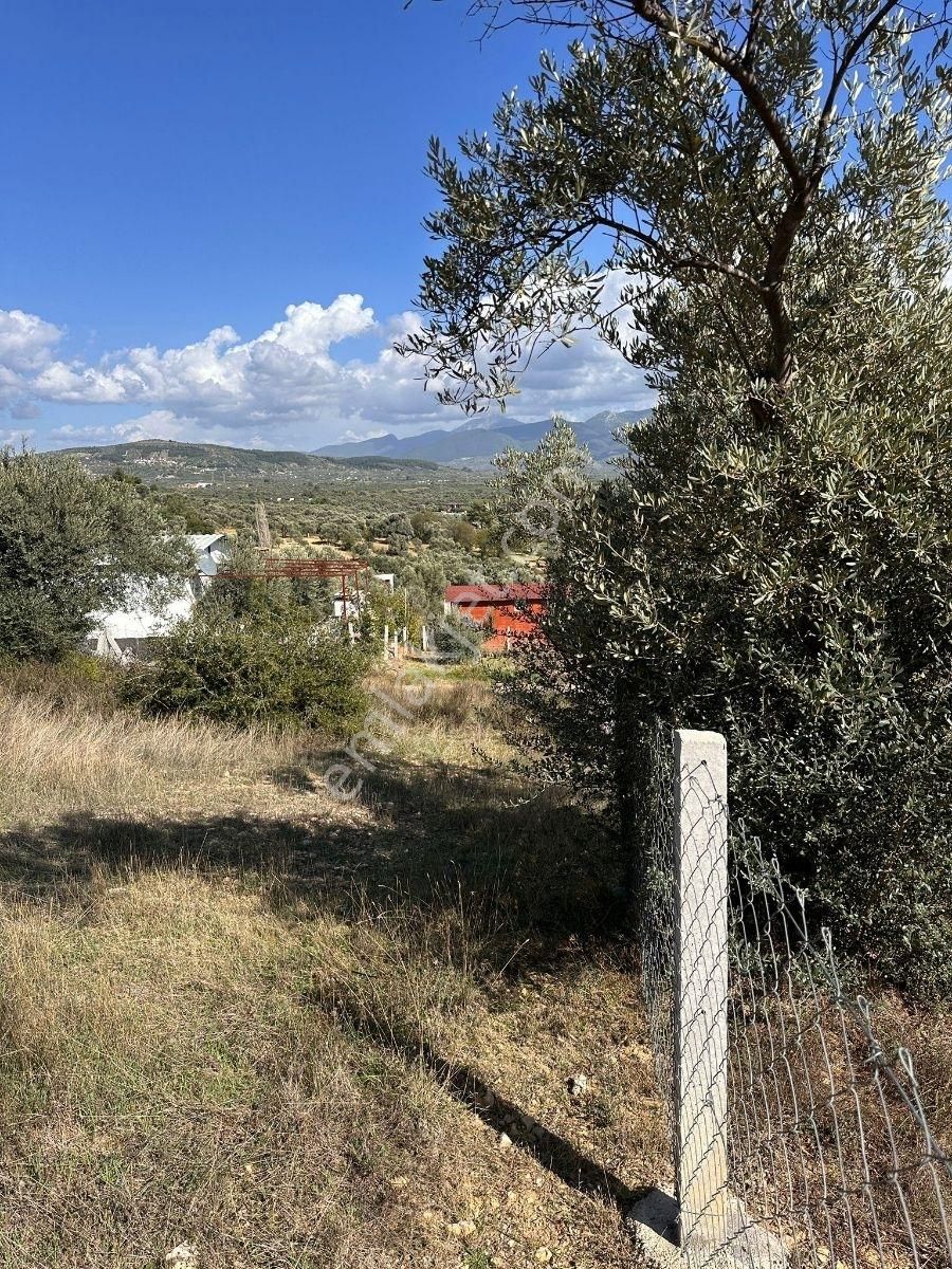 Torbalı Çapakta Köy İçinde Tapudan Satışlı Arsa - Görsel 8