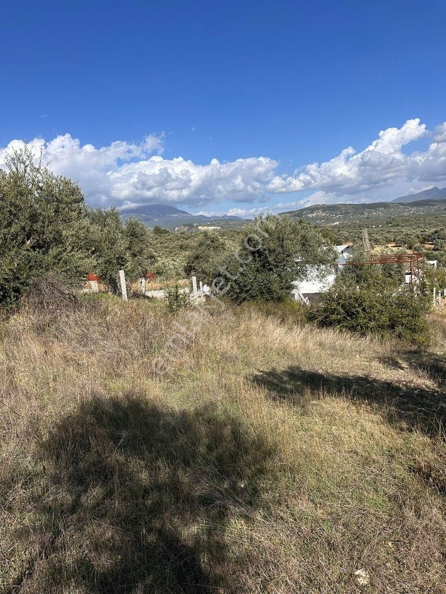 Torbalı Çapakta Köy İçinde Tapudan Satışlı Arsa - Görsel 4
