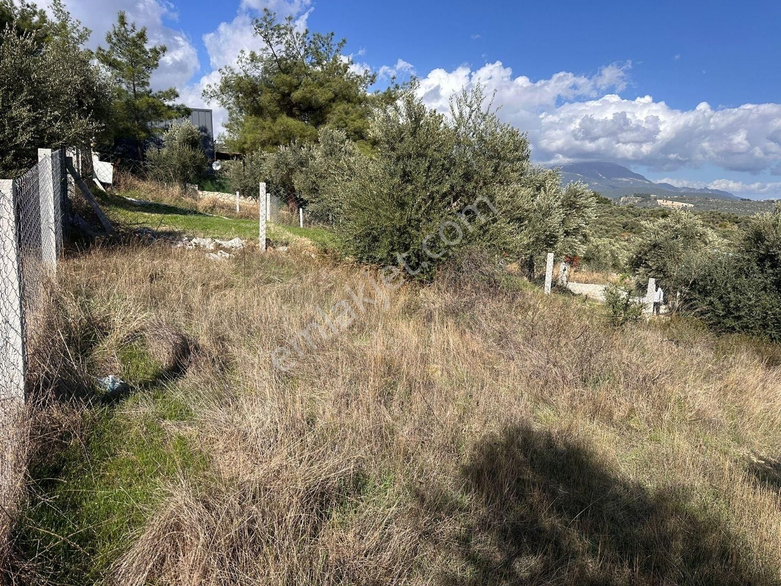 Torbalı Çapakta Köy İçinde Tapudan Satışlı Arsa - Görsel 5