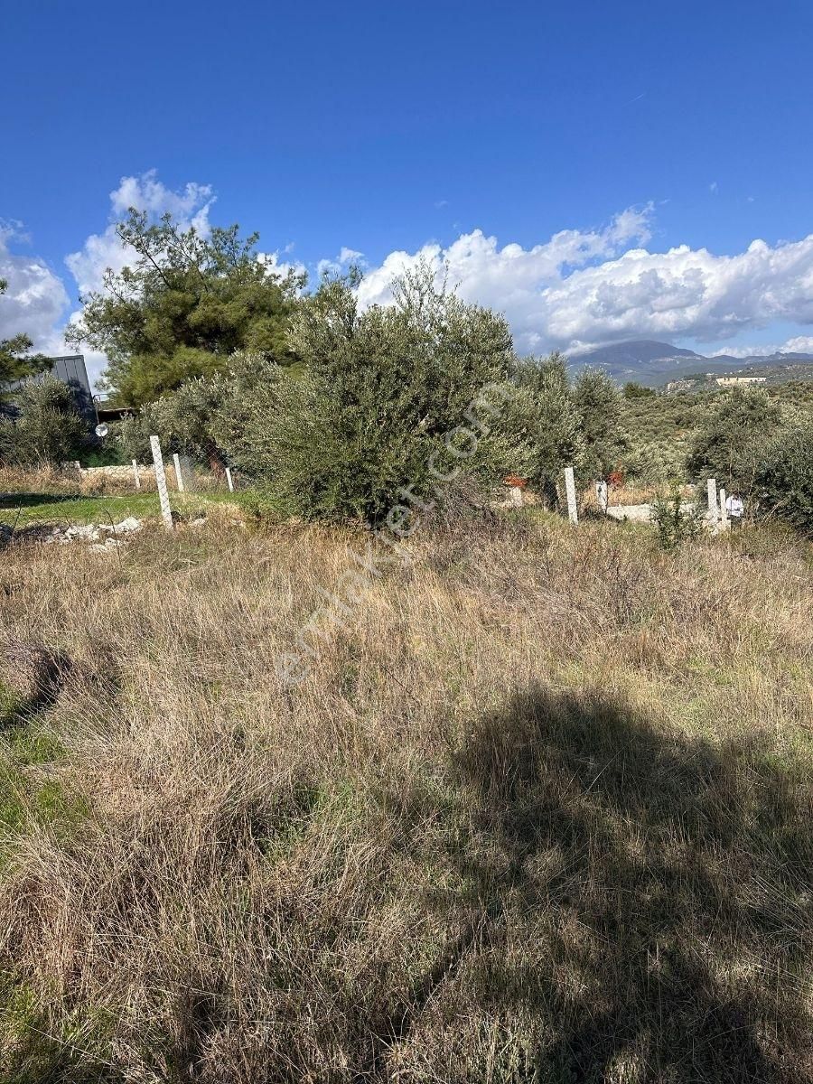 Torbalı Çapakta Köy İçinde Tapudan Satışlı Arsa - Görsel 3