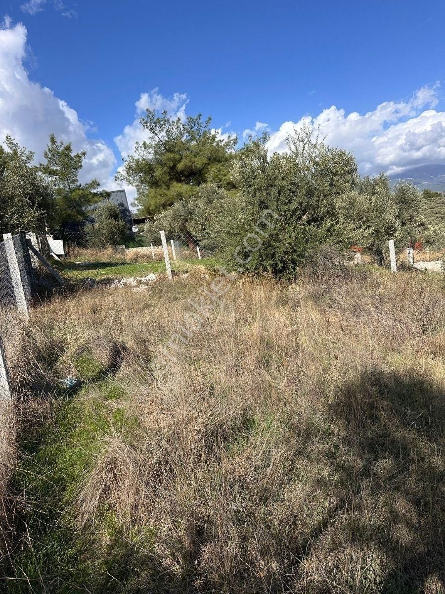 Torbalı Çapakta Köy İçinde Tapudan Satışlı Arsa - Görsel 2