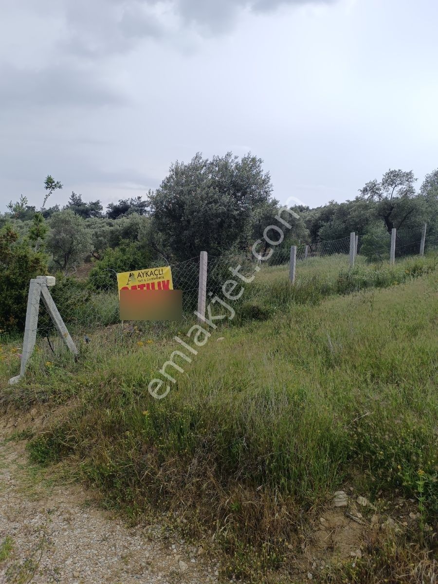 Torbalı Çapakta Köy İçinde Tapudan Satışlı Arsa