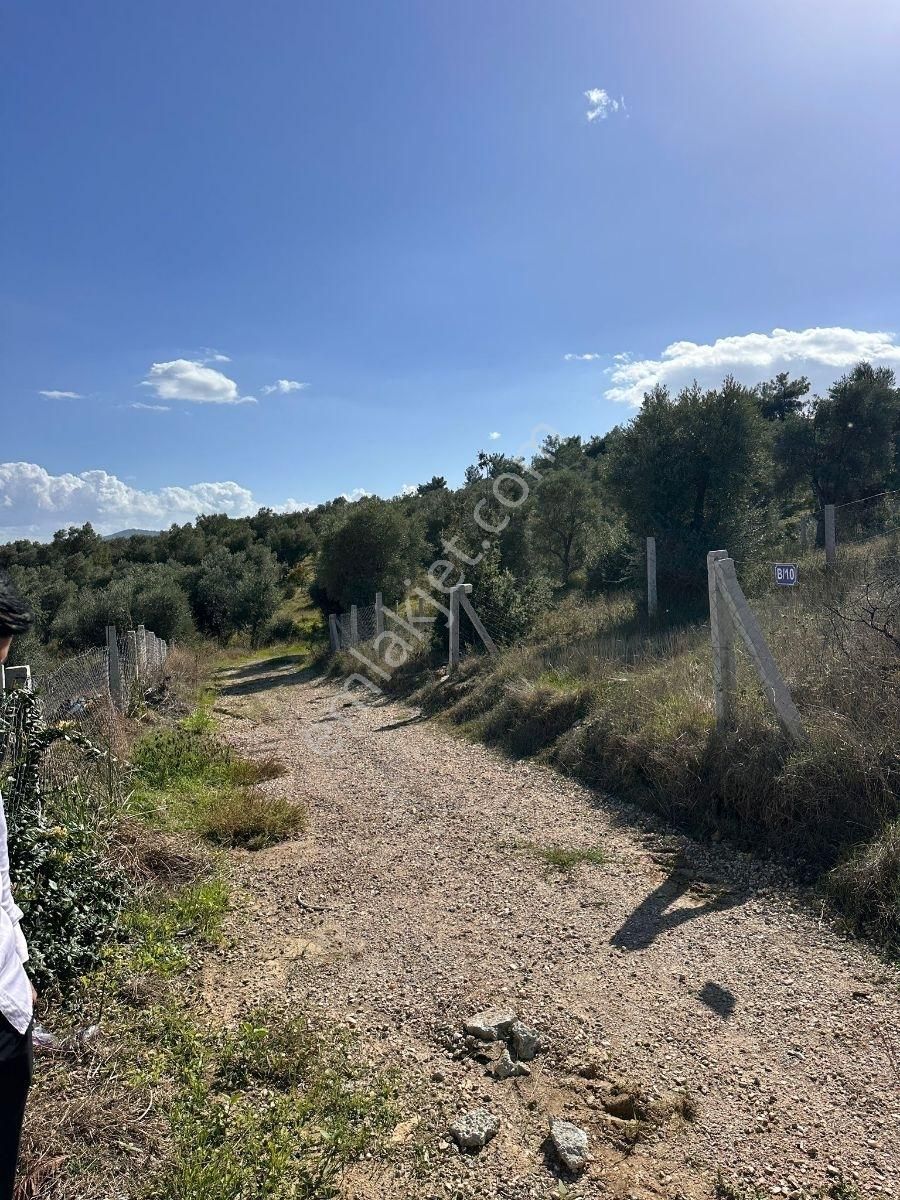 Torbalı Çapakta Köy İçinde Tapudan Satışlı Arsa - Görsel 9