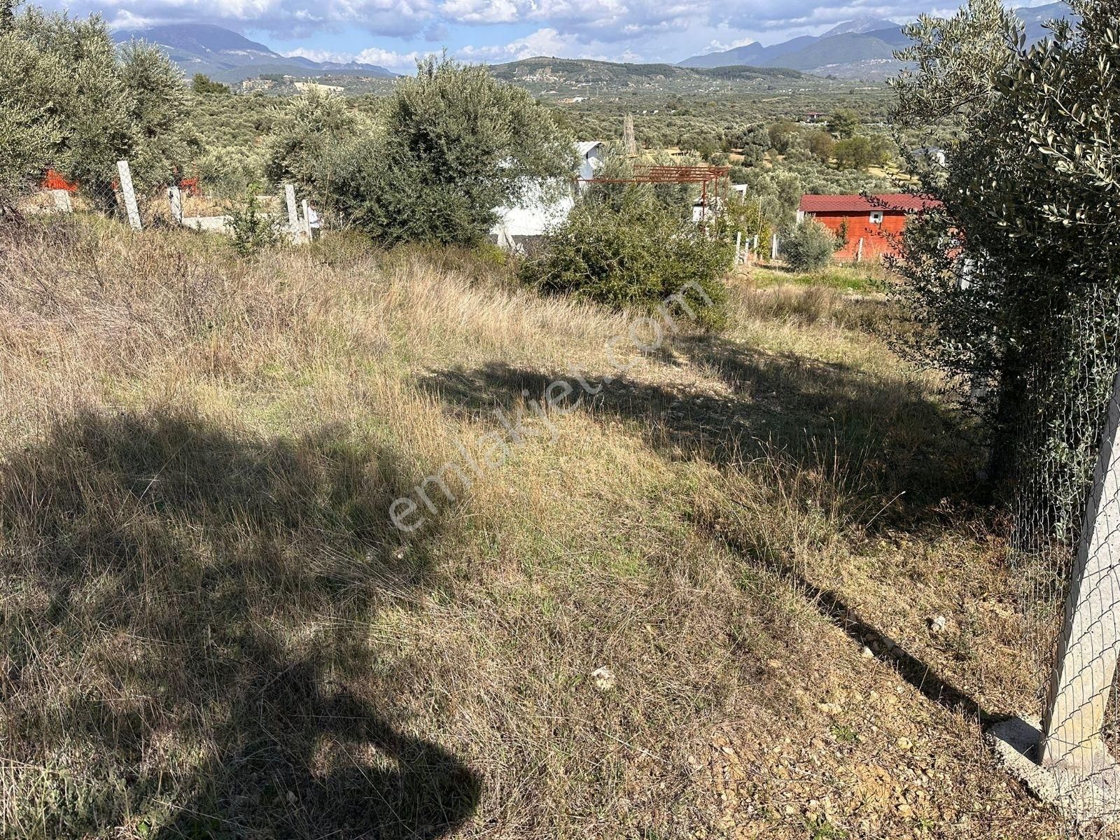 Torbalı Çapakta Köy İçinde Tapudan Satışlı Arsa - Görsel 7