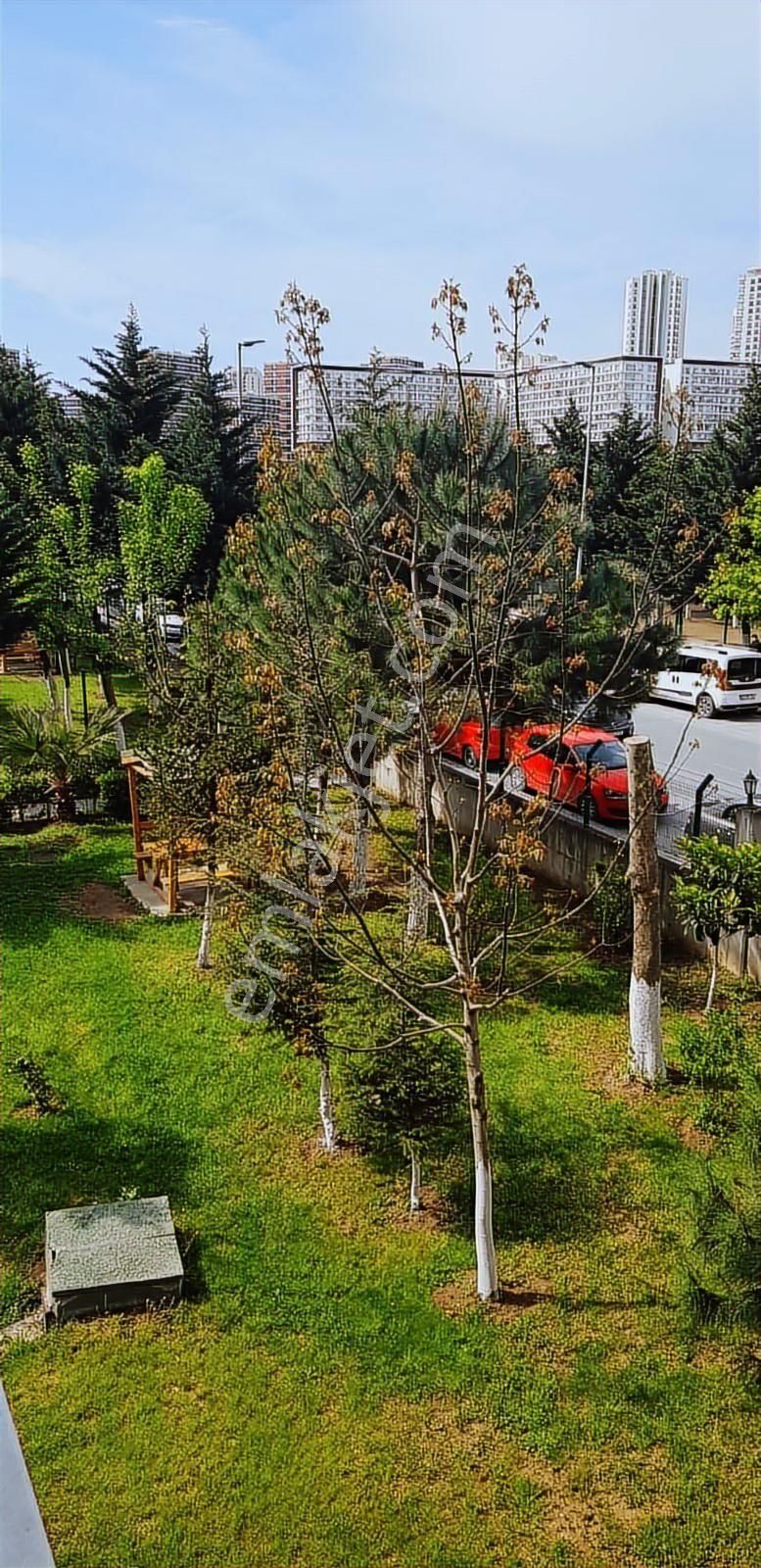 Menekşe 2 De Balkonlu Acill Fulll Tadilatlı Acill Satılık Daire - Görsel 7