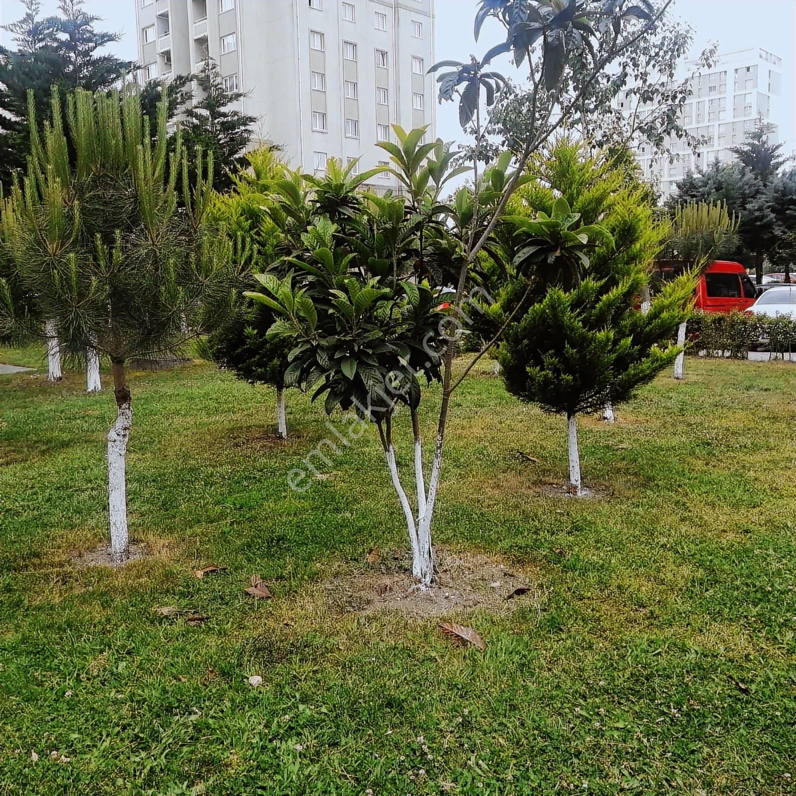 Menekşe 2 De Balkonlu Acill Fulll Tadilatlı Acill Satılık Daire - Görsel 32